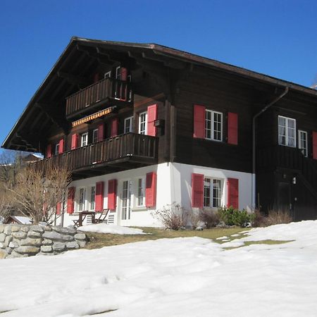 Chalet Aiiny Grindelwald Kültér fotó