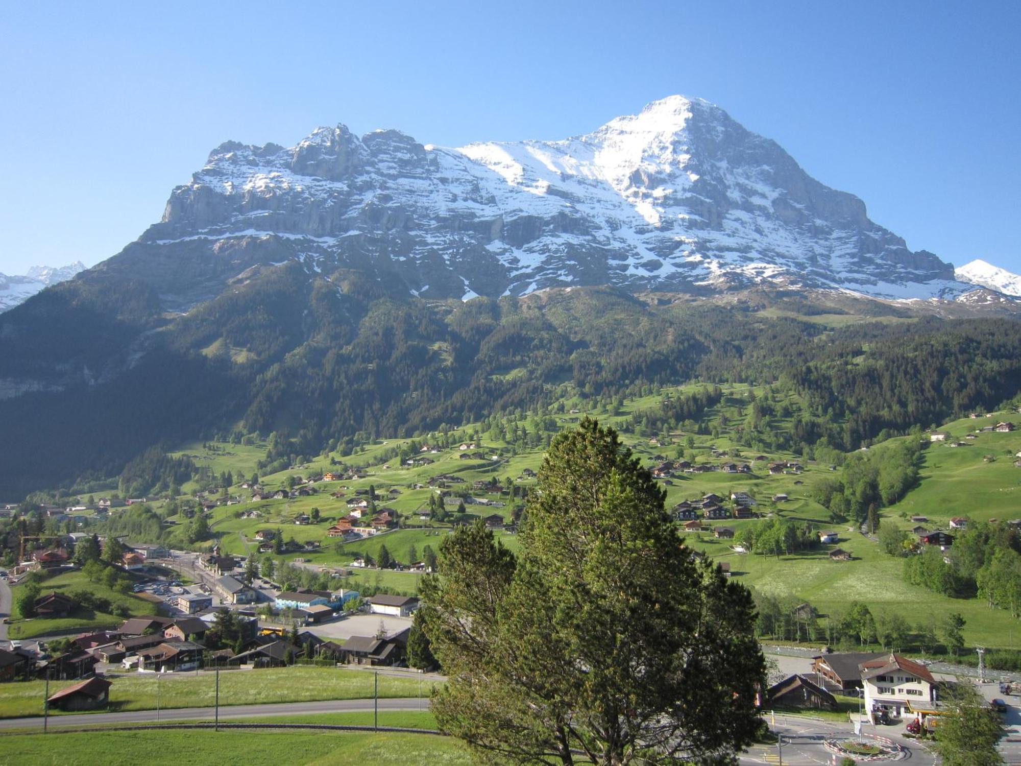 Chalet Aiiny Grindelwald Kültér fotó